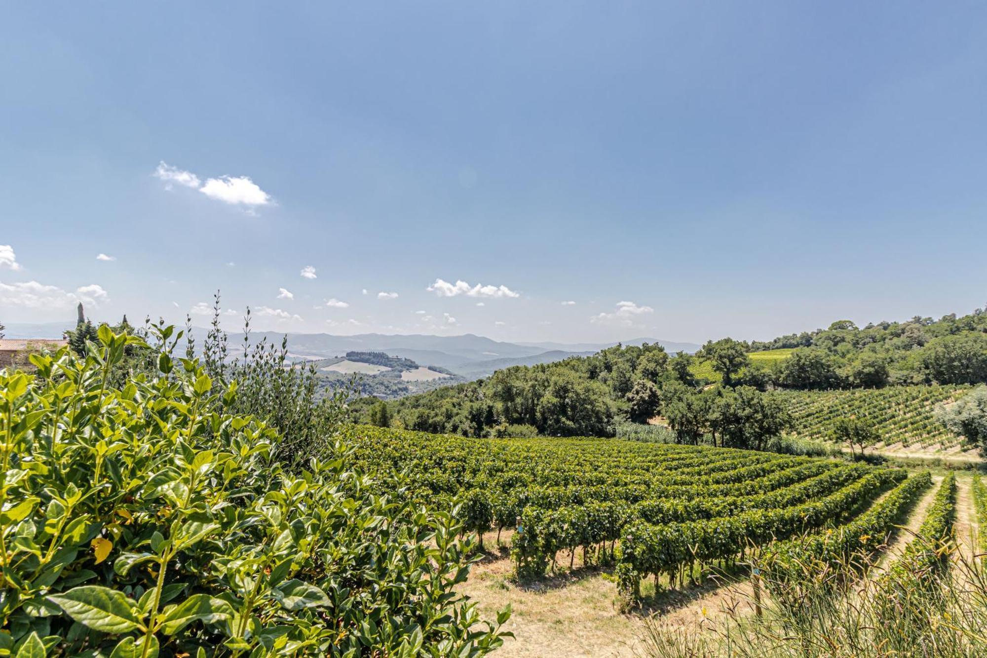 Chateau La Siroque Montecatini Val di Cecina Zewnętrze zdjęcie