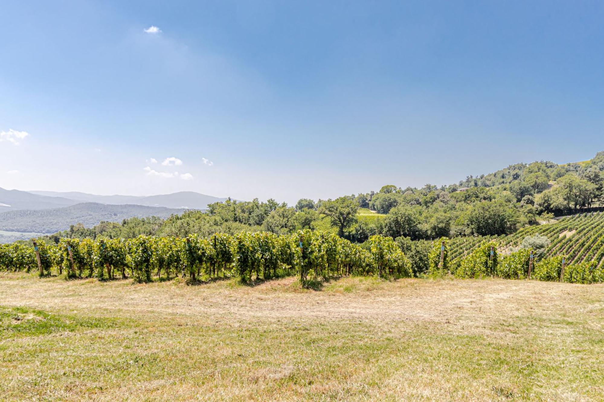 Chateau La Siroque Montecatini Val di Cecina Zewnętrze zdjęcie